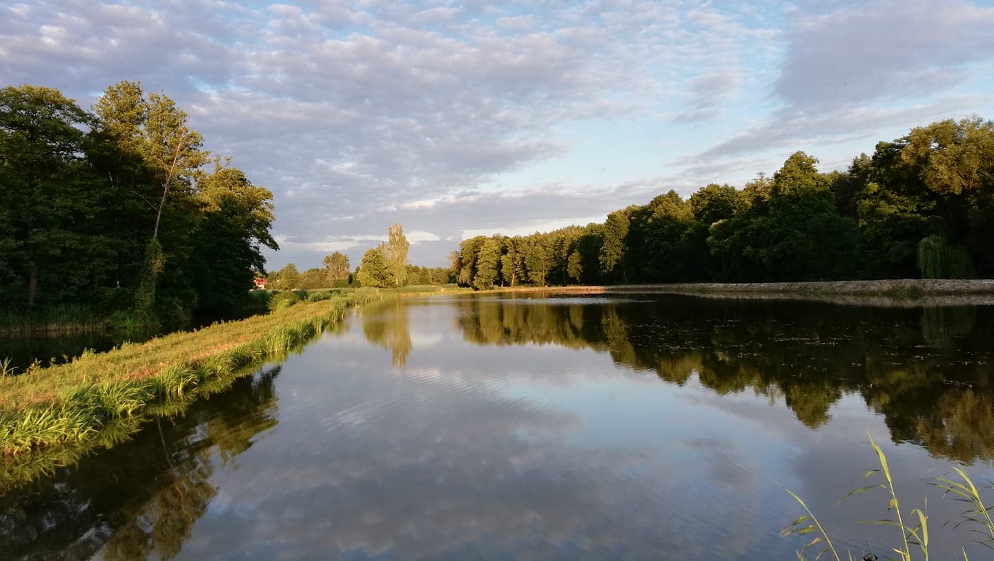 Łowisko Karp z Borowa