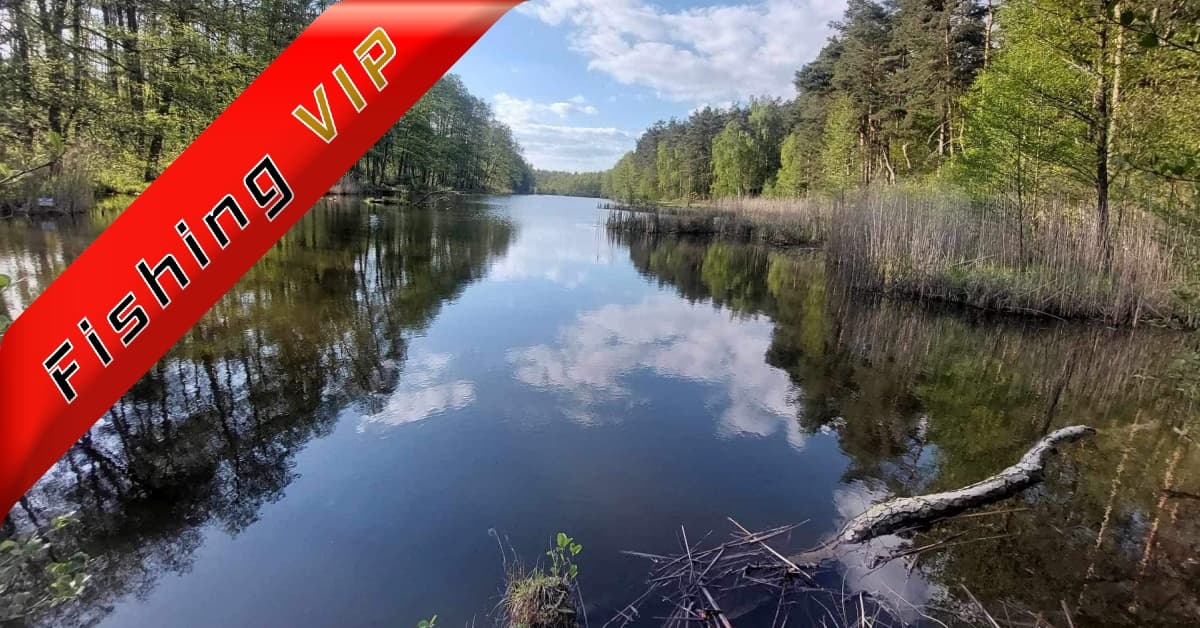 Łowisko Forest Lake Klemensowo